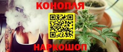 стаф Шахты