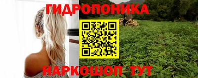 индика Шебекино
