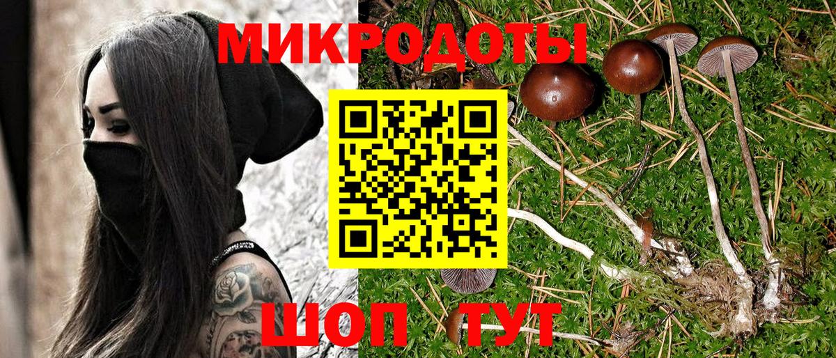 Псилоцибиновые грибы мицелий Баксан